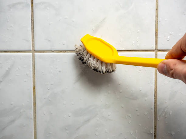 Best Mold Testing  in Cottonwood, AZ