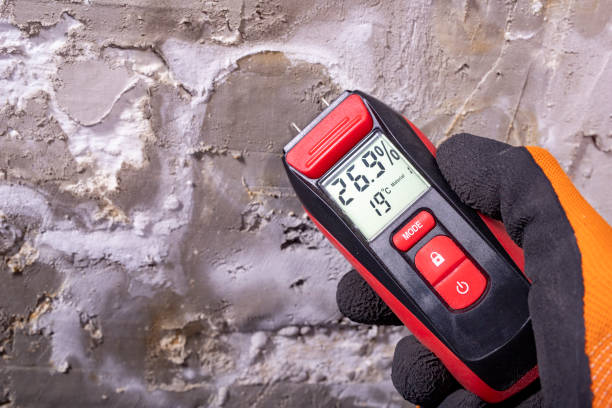 Best Mold Testing  in Cottonwood, AZ
