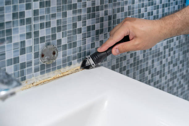 Best Home Mold Removal  in Cottonwood, AZ